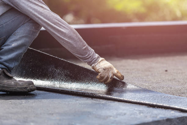 Professional Wet Basement Repair technician working in Marne, MI